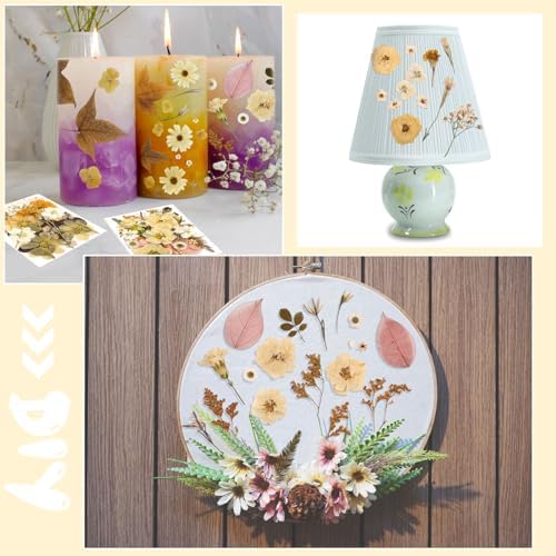 Nuanchu Boho Beige Dried Pressed Flowers for Craft Resin Mold, Vintage