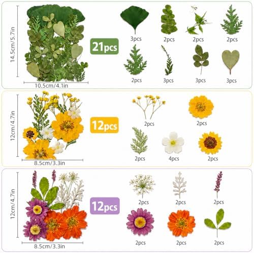 181 pcs Dried Flowers for Resin, Natural Flowers and Leaves Kit with Butterfly Stickers， Vacuum Sealed DIY Pressed Flowers for Jewelry Molds, Candle Soap Making, Scrapbook, Nail Art (Colorful-A)