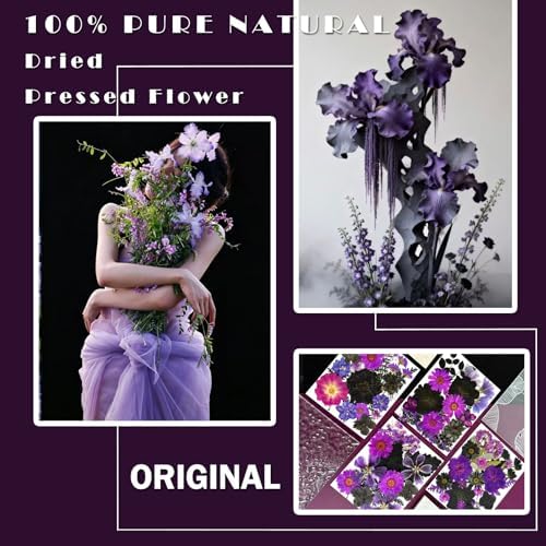 MIKIYA 92Pcs Purple Black Pressed Dried Flowers for Resin, Real Natural Bulk Assorted Dry Leaves Floral for DIY Art Crafts, Epoxy Molds, Jewelry, Soap, Candle Making, Nails Decors