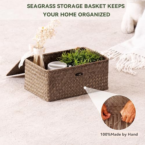 Nonam Wicker Storage Basket with Lid,Seagrass Shelf Basket Set of 2,Coffee