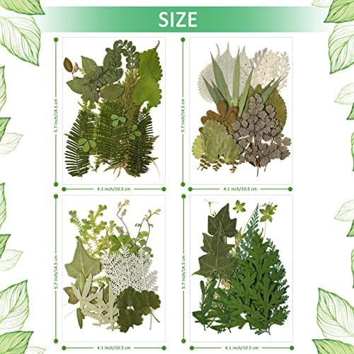 Timtin 84 Pcs Dried Pressed Leaves Flowers for Resin, Vivid