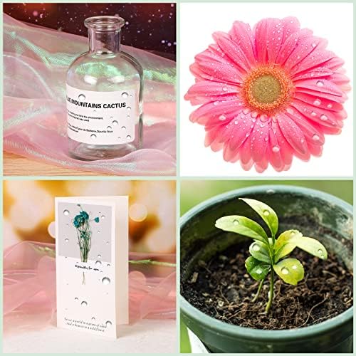 700 Pcs Dewdrop Water Droplets Embellishments - Clear Resin Dewdrop Beads for DIY Crafts & Paper Decor