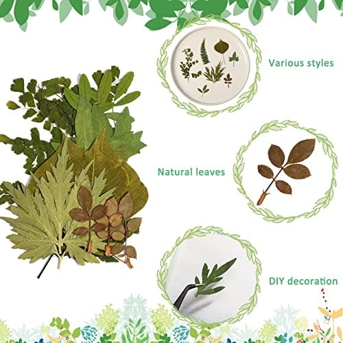 Timtin 84 Pcs Dried Pressed Leaves Flowers for Resin, Classic