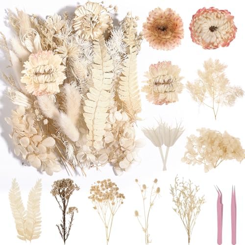Real Dried Flowers 100% Natural Dried Flowers, Mixed Colors Dried Leaf Flowers for DIY Arts and Crafts Candles Resin Jewelry Nail Pendant Cards Scrapbooking Wedding Home Decoration (White)