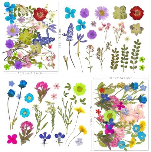 140+ PCS Real Dried Pressed Flowers Leaves Petals for Crafts Yellow- Beautiful Pressed Flowers Daisies for Resin Jewellery, Pressed Flowers Nail Pendant Crafts Making Craft DIY Accessories