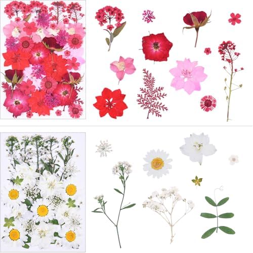 146Pcs Dried Pressed Flowers for Crafts,Xinxinran Dry Flowers Kit for Resin Molds,Epoxy Resin Accessories,Bookmark,Nails, Jewelry Molds,Candle Making Supplies,Soap,Frame(Colorful)