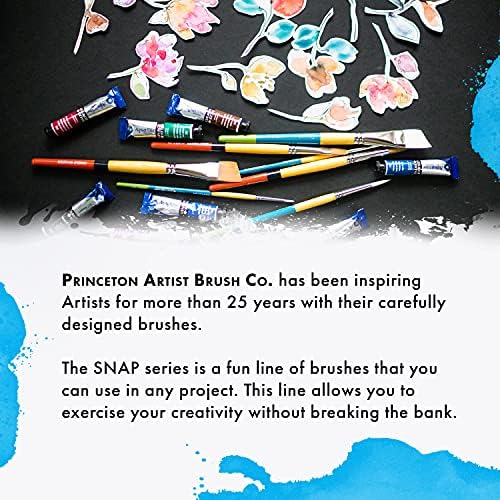 Princeton Snap! PAB96522 9650SET-2 Snap Brush, Round 6 4 Stroke 34", Multicolor