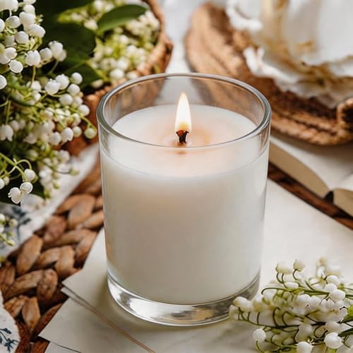 24-Pack 10oz Glass Candle Jars for Making Candles Bulk -Clear