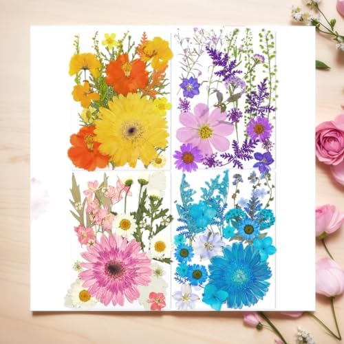 100Pcs Dried Pressed Flowers for Resin Molds- Beautiful Pressed Flowers Daisies for Resin Jewellery, Pressed Flowers Nail Pendant Crafts Making Craft DIY Accessories with 1pcs Tweezers