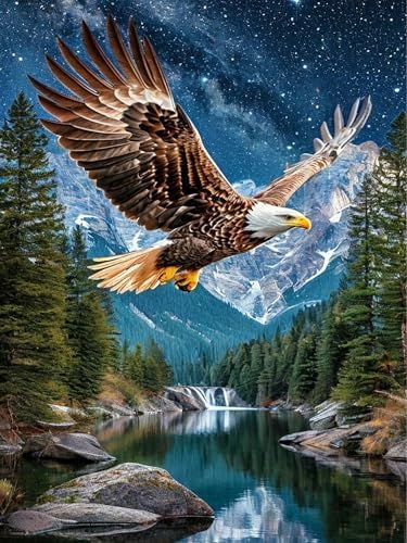 Diamond Art Kits for Adults,Eagle Diamond Painting Kits for Beginner