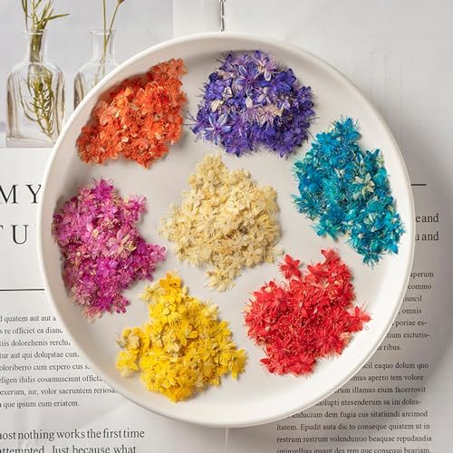 84 Pcs Dried Pressed Flowers for Crafts Resin Art DIY Natural Dry Sandalwood Floral Epoxy Jewelry Real Flower Decor Cakes Phone Cases Candles Handmade Soap Sandalwood