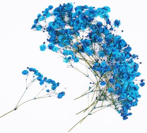 50Pcs Blue Babys Breath Dried Pressed Flowers for Crafts,Xinxinran Dry Flowers Kit for Wedding Invitation Accessories,Bookmark,Jewelry Molds,Candle Making Supplies,Soap,Frame,Cakes