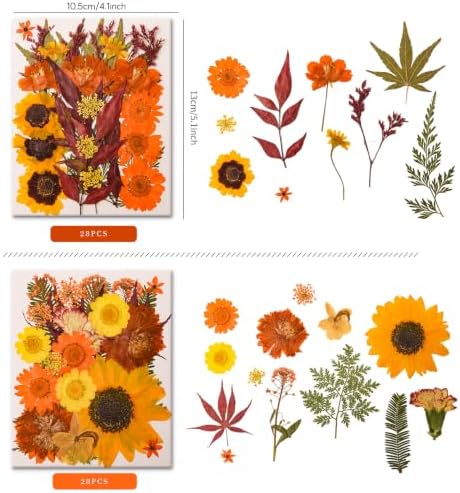 5 Packs 140 Pressed Dried Flowers & Leaves, Fall | Assorted Natural Dry Flowers, DIY Crafts, Resin Jewelry, Card Making, Soap, Candles, Nail Art, Scrapbooking