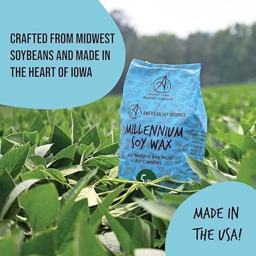 American Soy Organics Millennium Soy Beads for Candle Making - Natural Supplies - Paraffin-Free, Beeswax-Free Candle Wax for Container Candles, Tealights and Wax Melts, 10 lbs (Pack of 2)