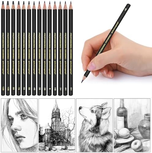 Heshengping Drawing Sketch Pencil Set 14pcs Sketching Pencils 12B 10B 8B 7B 6B 5B 4B 3B 2B B HB 2H 4H 6H Graphite Pencils for Kid Adults Artists Student Beginners Professional