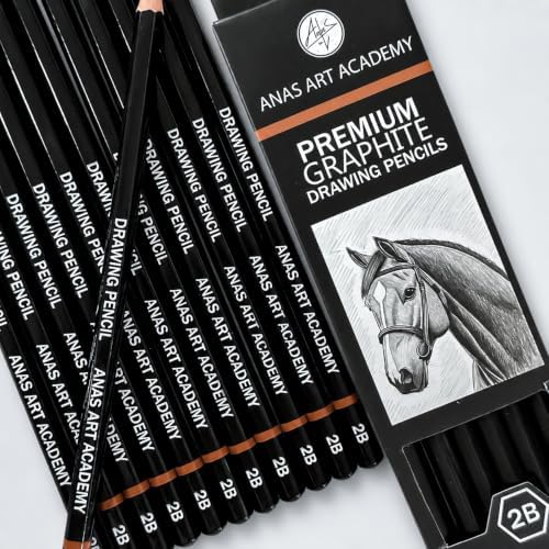 2B Premium Graphite Drawing Pencils - 12 pcs | Professional Art Drawing Pencils for Shading, Sketching & Doodling | Graphite Pencil for Artists & Beginners