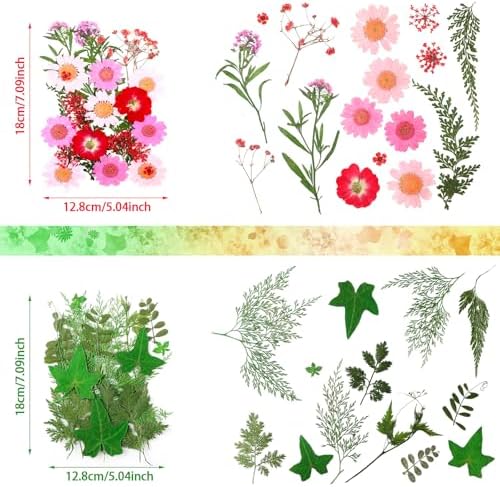 Nuanchu Real Dried Pressed Flowers Wildflowers for Crafts Resin Molds DIY