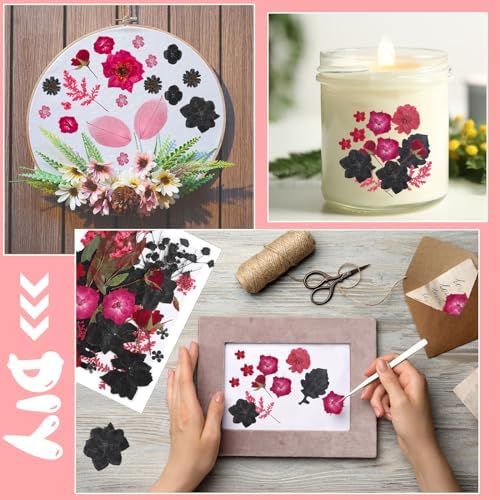 Nuanchu Black Red Dried Pressed Flowers for Craft Resin, Gothic Halloween