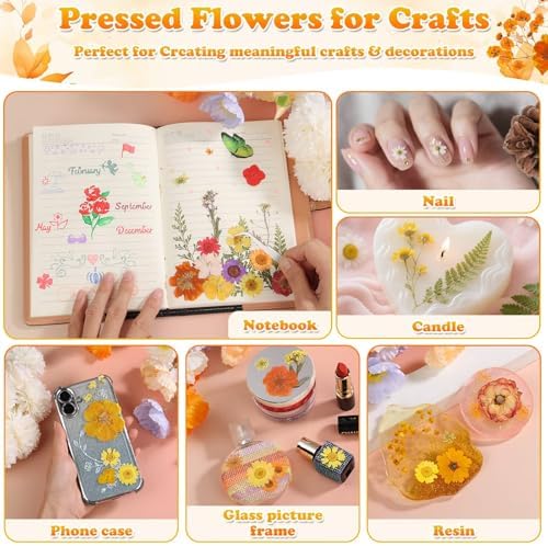 361 Pcs Fall Dried Pressed Flowers Butterfly Stickers for Resin Crafts