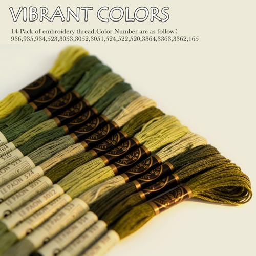 Premium Rainbow Color Embroidery Floss - Cross Stitch Threads - Friendship Bracelets Floss - Crafts Floss - 14 Skeins Per Pack Embroidery Floss, Light Moss Green,Gradient
