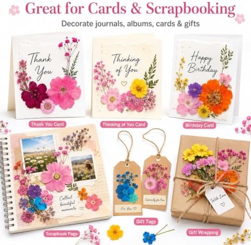 210 pcs Dried Flowers for Resin, Natural Flowers and Leaves Kit with Butterfly Stickers， Vacuum Sealed DIY Pressed Flowers for Jewelry Molds, Candle Soap Making, Scrapbook, Nail Art (Colorful-J)