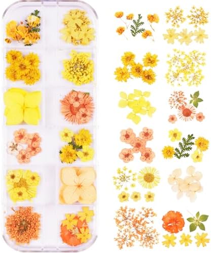 60Pcs Small Dried Pressed Flowers for Crafts,Mini Flower for Nail Art