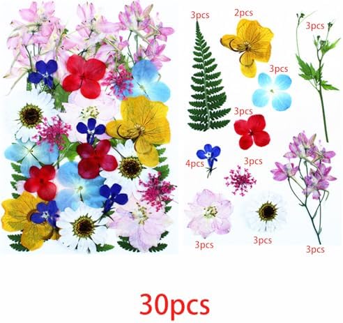 Cayway 4 Pack Pressed Flowers Natural Dried Flowers Colorful Resin Flowers Real Pressed Flowers for Resin Scrapbook DIY Art Crafts, Epoxy Resin Jewelry, Card Making Supplies, Style H