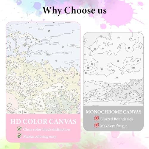 Dawnsphere Flowers Paint by Numbers Kit for Adults Without Frame 16x20 in