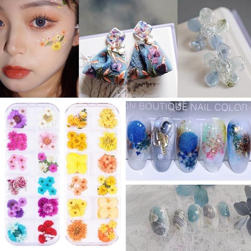 60Pcs Small Dried Pressed Flowers for Crafts,Mini Flower for Nail Art