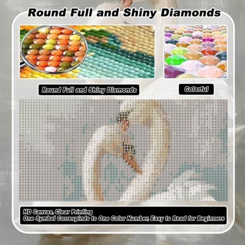 VeGuude Diamond Art Kits for Adults, Full Drill Classical Swan Diamond Painting Kits for Beginners, DIY Swan Vintage Art Full Rhinestone 5D Diamond dots, Home Wall Decoration (12x16 inch)