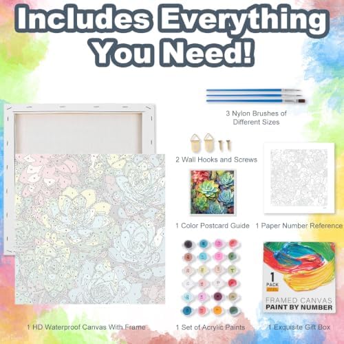 Succulents Framed Paint by Numbers Kit for Adults Beginner 10x10 inch