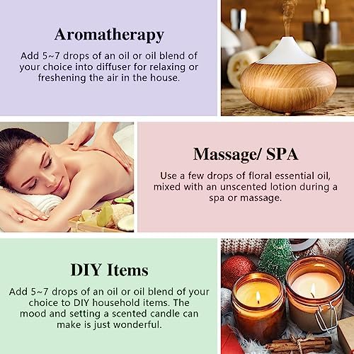 Bakery Essential Oils Set - Fragrance Oil for Diffusers, Candle Making - Pumpkin Pie, Coffee Cake, Oatmeal Cookie, Gingerbread, Cinnamon Apple Aromatherapy Scented Oils (5ml)