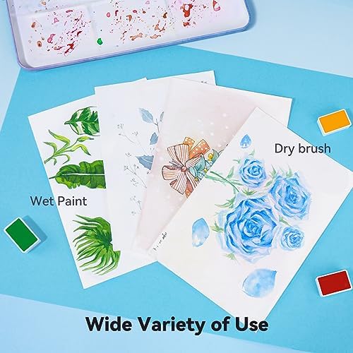 Paul Rubens Watercolor Paint Set Full Pan, 24 Vivid Colors Water Coloring Paint in Pocket Box with Metal Ring, High Transparency Intense and Durable, No Chalky, Perfect for Students, Beginners