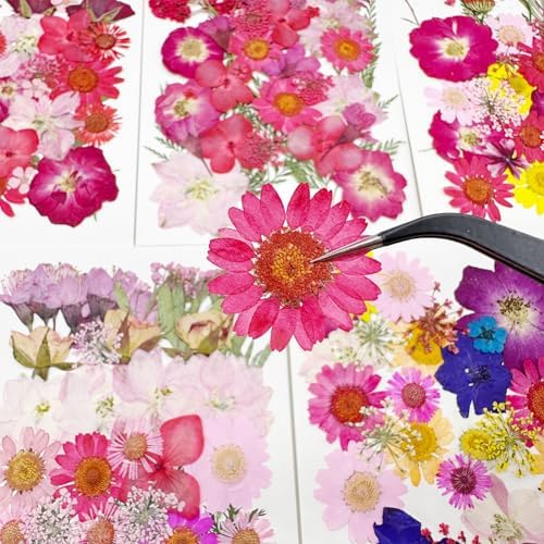 Cayway 170 PCS Dried Pressed Flower, Pressed Flowers and Leaves for Resin, Real Nature Pressing Floral Leaves for DIY Craft, Jewelry Making, Candle Scrapbooking Supplies, Red