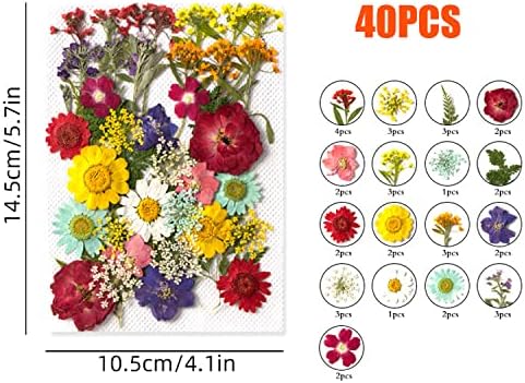 Cayway 40 Pcs Real Pressed Flowers Dry With Tweezers Set, Colorful Dried Flowers for Resin Scrapbooking, DIY Art Crafts, Epoxy Resin Jewelry, Soap Making
