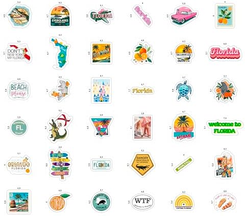 100Pcs Florida Stickers and Decals for Luggage, Waterproof - Florida State Party Supplies & Decorations, Gifts - FL State Stickers for Water Bottle - Gift for Women & Men