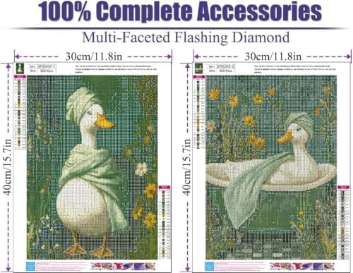2 Pack Diamond Art Kits for Adults DIY Diamond Painting Kits for Adults