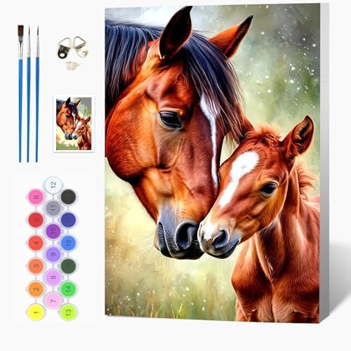 Auremi Horse Paint by Number Kits with Framed, DIY Animals Paint by Number Canvas for Adults, Easy Acrylic in Canvas with Brushes for Decor 20x30cm