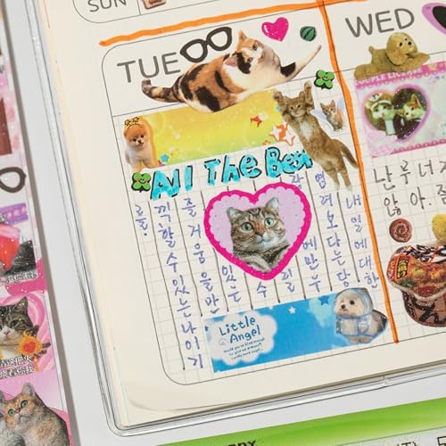 ZHIJIANHZ Cat Sticker Book with Meme Stickers 30 Pages Over 800 Die Cut Stickers with 3 Coating Types for Scrapbook Journal and Planner Sticker Album with Premium Art Paper and Cute Design