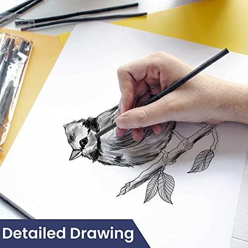 Pacific Arc 2 PACK Large Willow Charcoal Stick 4/Pkg, Soft, Black, Thick Willow Charcoal for Sketching and Drawing …