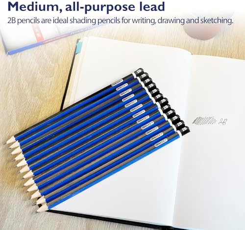 BAZIC #2B Premium Wood Pencil, Blue, 12 Per Pack (760-24P)