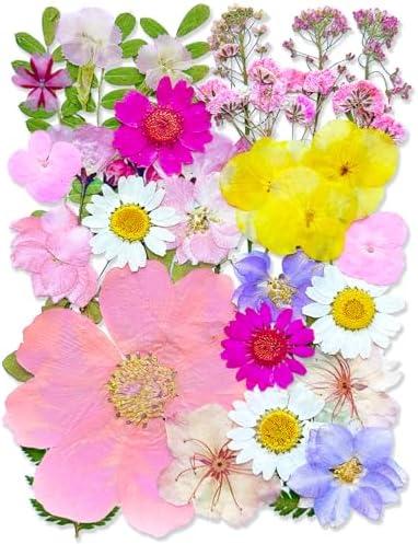MIKIYA 33Pcs Pink Pressed Dried Flowers for Resin, Real Natural Bulk Assorted Dry Floral Leaves for DIY Art Crafts, Epoxy Molds, Jewelry, Soap, Candle Making, Nails Decors