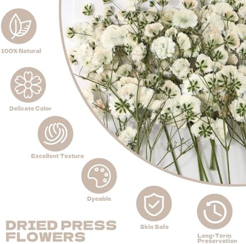 Dried Babys Breath White, 48pcs Dried Flowers for Resin