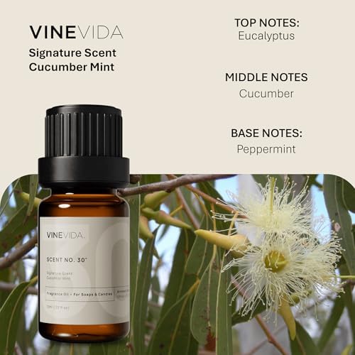 VINEVIDA [0.33oz] Cucumber Mint Fragrance Oil for Candle Making and Soap Making - Premium Candle Scents for Soy Candles