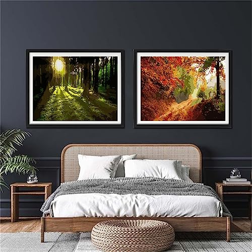 YANXIN Paint by Numbers Kit for Adults Beginners 2 Pack Paint by Numbers for Adults Rolled up Canvas for Home Decoration Creative Wall Art with Colorful Gift Box 12x16 inch Forest Sunrise 175-176