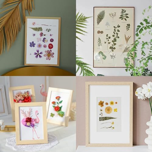 100 PCS Purple Pressed Dried Flowers and Leaves with Tweezers | Natural Dried Flowers, For Resin, Candle, Jewelry, Scrapbooking & DIY Crafts