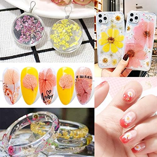140+Pcs Real Dried Pressed Flowers Leaves Petals for Crafts-Beautiful Pressed Flowers Daisies for Resin Jewellery, Pressed Flowers Nail Pendant Crafts Making Craft DIY Accessories with 1pcs Tweezers