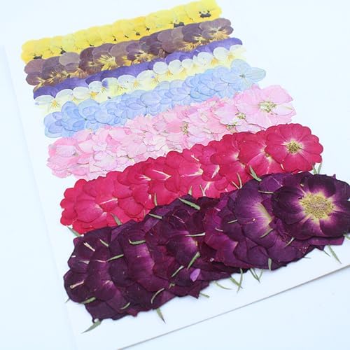 49 Pcs Dried Pressed Flowers for Crafts Art Resin DIY Natural Dry Pansy Rose Hydrangea Floral Epoxy Jewelry Real Flower Plants Decor Cakes Phone Cases Bookmarks Candles Handmade Soap