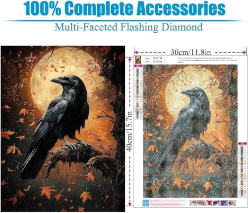 Gothic Raven Diamond Art Kits for Adult diamond painting kits for adults