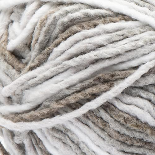 Bernat Forever Fleece Yarn, 280G, Latte (Pack of 2)